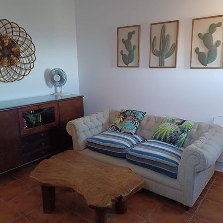 Casapancho 1 Y 2 - Casa Rural - Fasnia - Tenerife מראה חיצוני תמונה