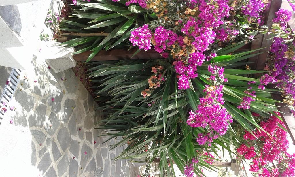Casapancho 1 Y 2 - Casa Rural - Fasnia - Tenerife מראה חיצוני תמונה